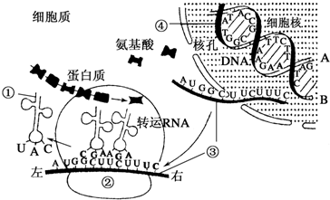 作业帮