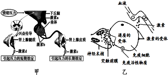 作业帮