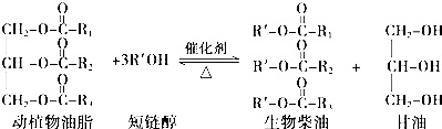 作业帮