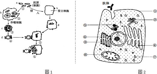 作业帮