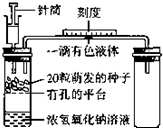 作业帮