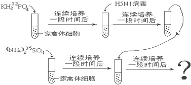 作业帮