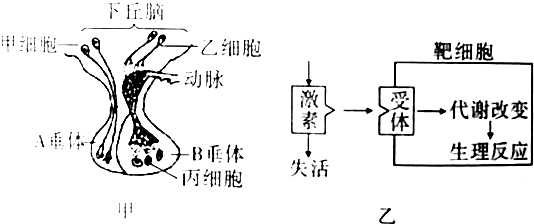 作业帮