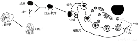 作业帮