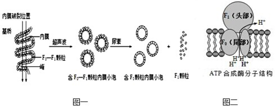 作业帮