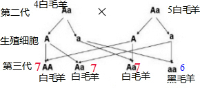 作业帮