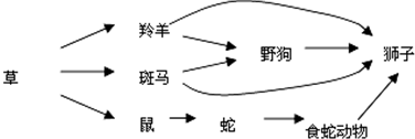 作业帮