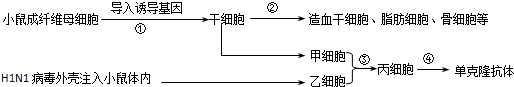 作业帮