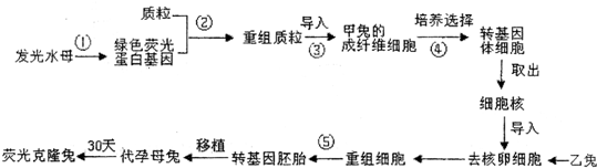 作业帮