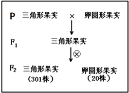 作业帮