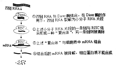 作业帮