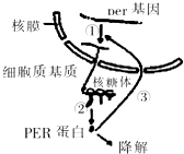 作业帮