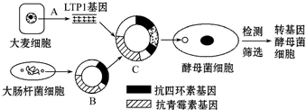 作业帮