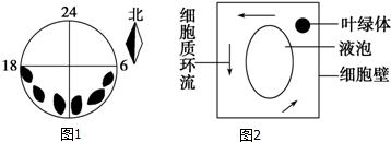 作业帮