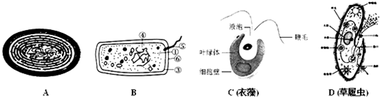 作业帮