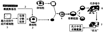 作业帮