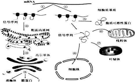 作业帮