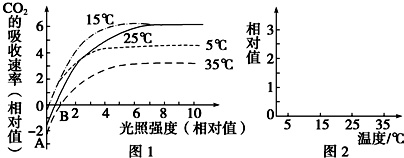 作业帮