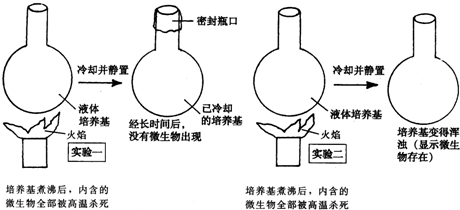 作业帮