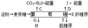 作业帮