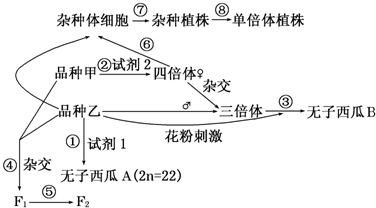 作业帮