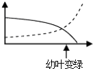 作业帮