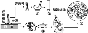 作业帮