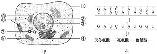 作业帮