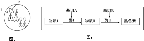 作业帮