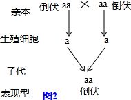 作业帮