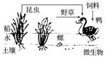 作业帮