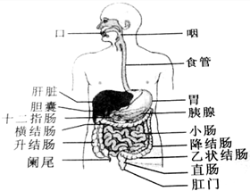 作业帮