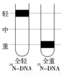 满分5 manfen5.com