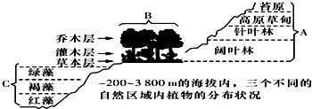 作业帮