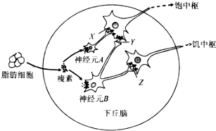 作业帮