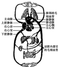 作业帮