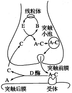 作业帮