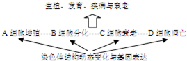 作业帮