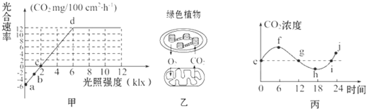 作业帮