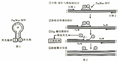 作业帮