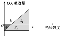 结合所学知识,回答下列问题