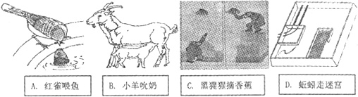 作业帮