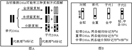 作业帮