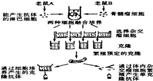 作业帮