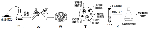 作业帮