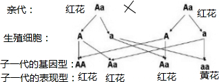 作业帮