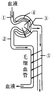 作业帮