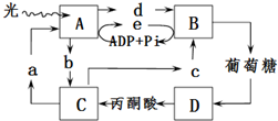 作业帮