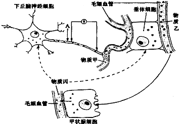 作业帮