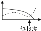 作业帮